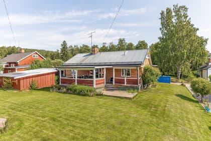 Bild av trädgården