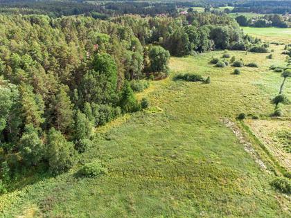 Bild av trädgården