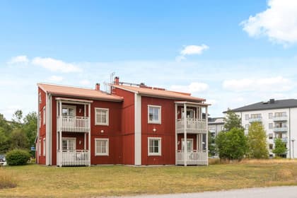 Bild av trädgården