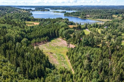 Bild av trädgården