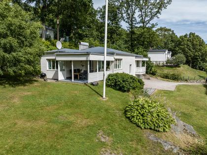 Bild av trädgården