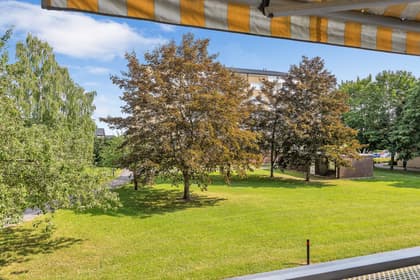 Bild av trädgården