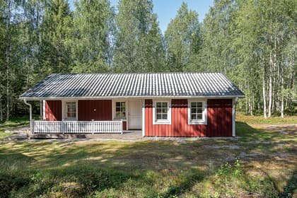 Bild av trädgården