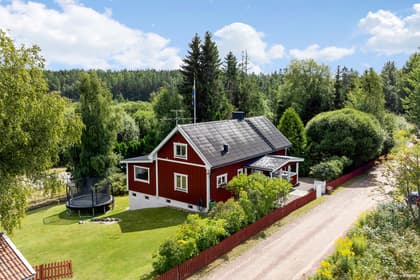 Bild av trädgården