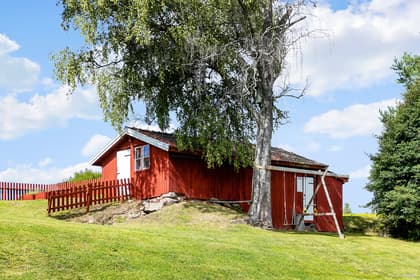 Bild av trädgården