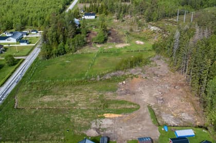 Bild av trädgården