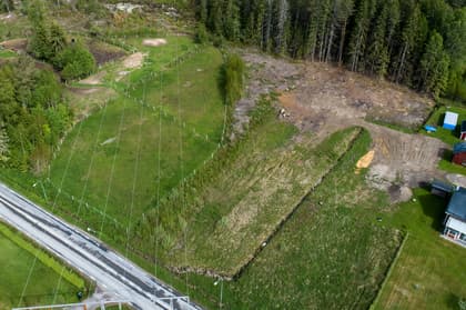 Bild av trädgården