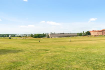 Bild av trädgården