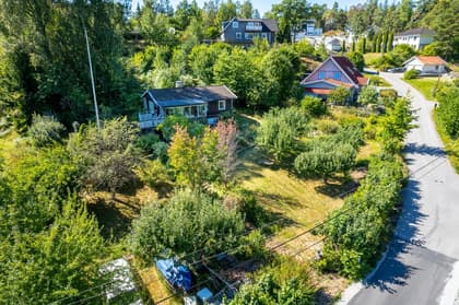 Bild av trädgården