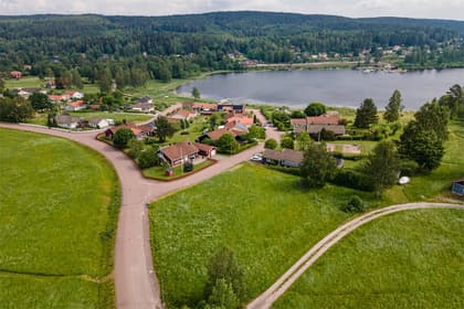 Bild av trädgården