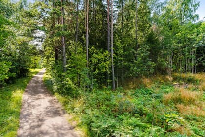 Bild av trädgården