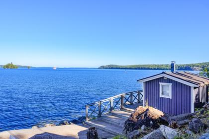 Bild av trädgården