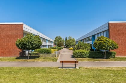 Bild av trädgården