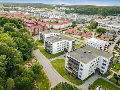 Bild av trädgården