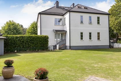 Bild av trädgården