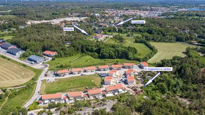 Bild av trädgården