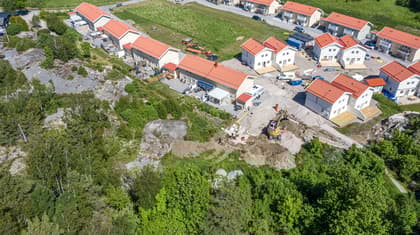 Bild av trädgården