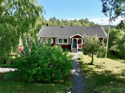 Bild av trädgården