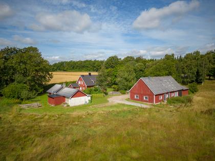 Bild av trädgården