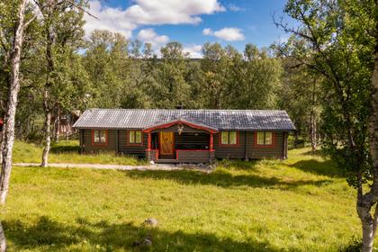 Bild av trädgården