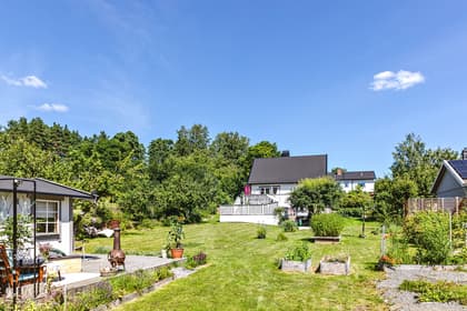 Bild av trädgården