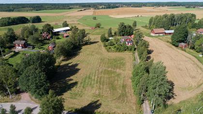 Bild av trädgården