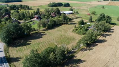 Bild av trädgården