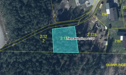 Bild av trädgården