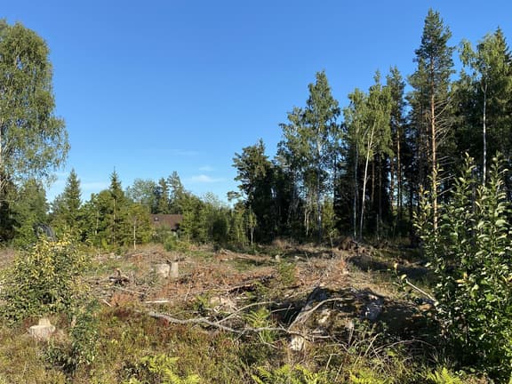 Skärplinge 2:129, Tierp