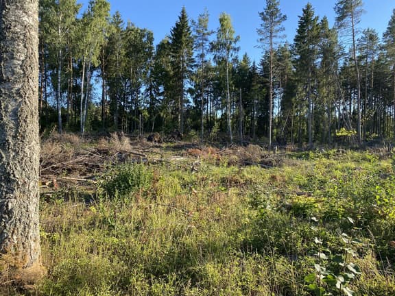 Skärplinge 2:128, Tierp