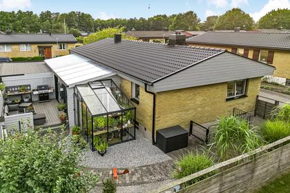 Adelgatan 20, Veterinärsområdet