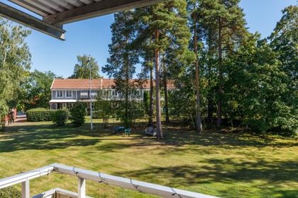 Bild av trädgården