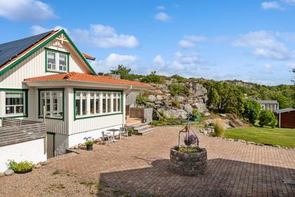 Bild av trädgården