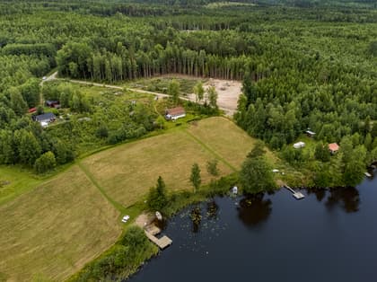 Bild av trädgården