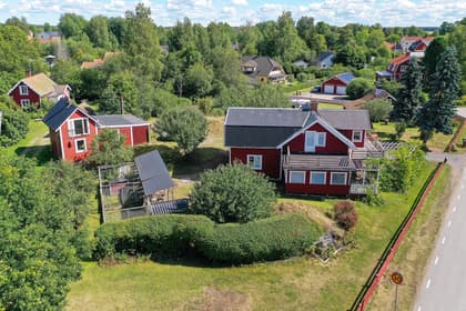 Bild av trädgården