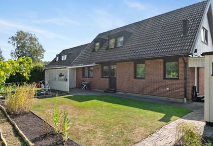 Bild av trädgården