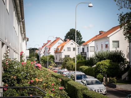 Bild av trädgården
