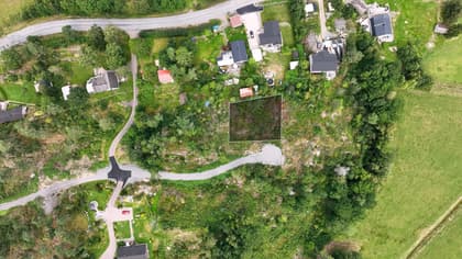 Bild av trädgården