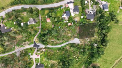 Bild av trädgården