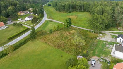 Bild av trädgården