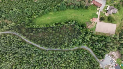 Bild av trädgården