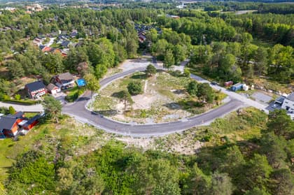 Bild av trädgården