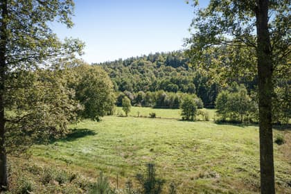 Bild av trädgården