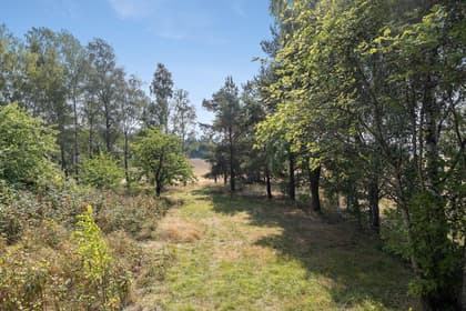 Bild av trädgården