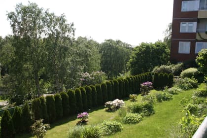 Bild av trädgården