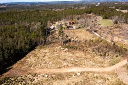 Bild av trädgården