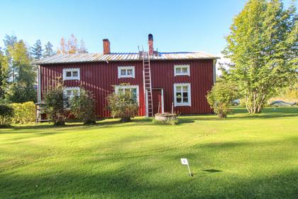 Bild av trädgården