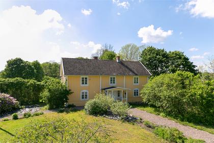 Bild av trädgården