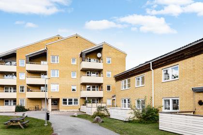 Trefaldighetsvägen 8A, Gribbylund