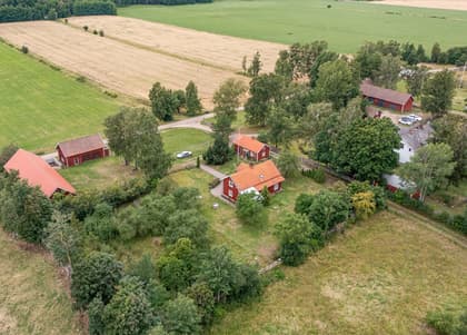 Bild av trädgården